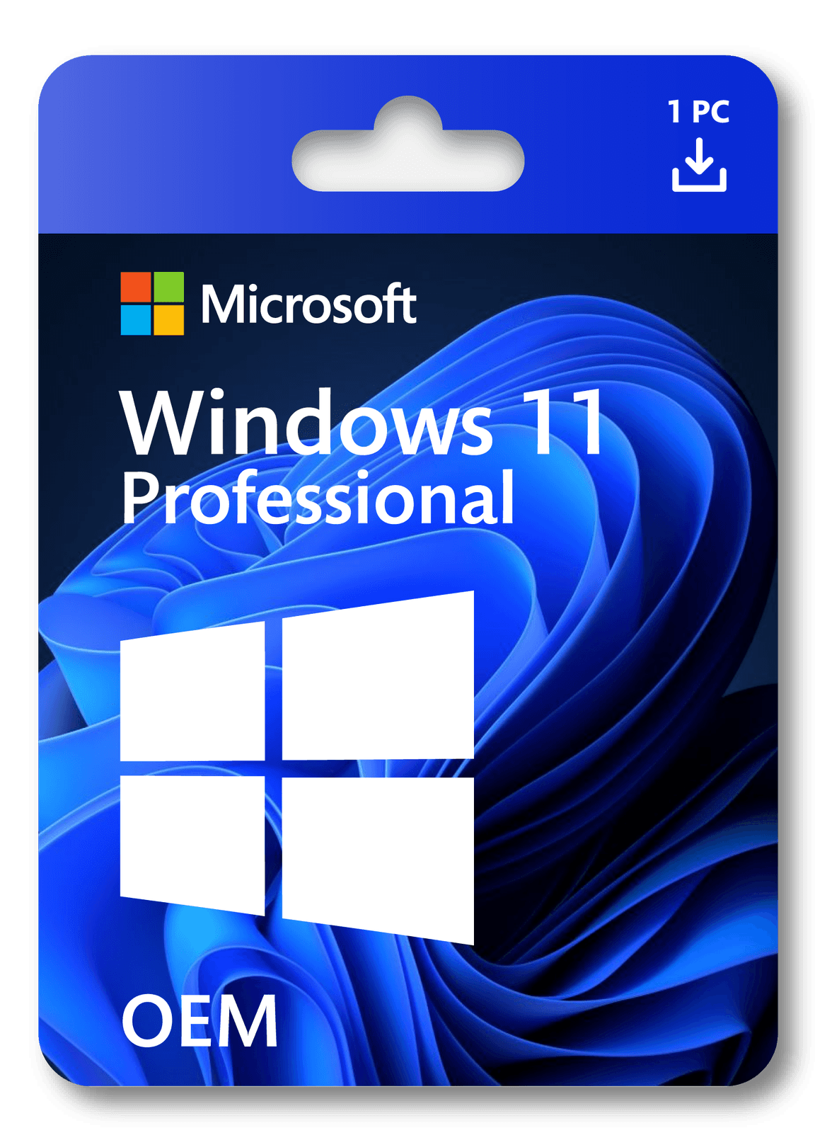 Windows 11 Professional