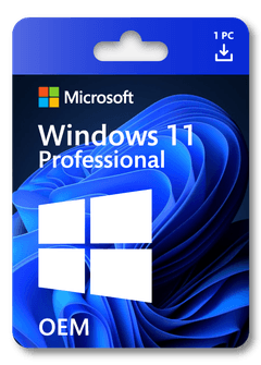 Windows 11 Professional