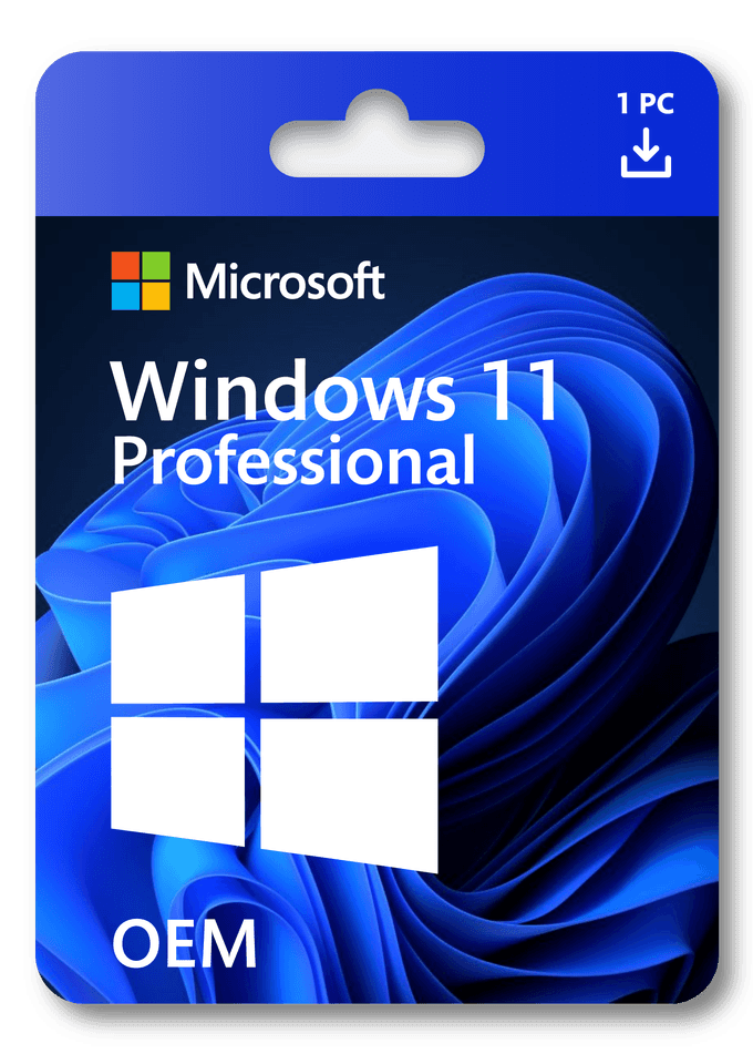 Windows 11 Professional